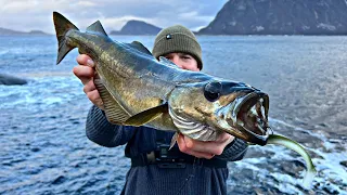 CATCHING BIG FISH IN NORWAY!!