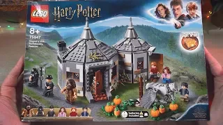 Pure build: LEGO Harry Potter Hagrid's Hut Buckbeak's Rescue 75947 in real time