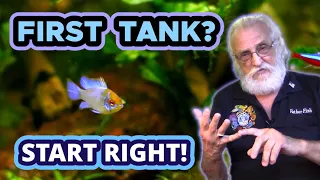 3 Things You MUST DO RIGHT in Your New Aquarium