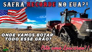 SUPER SAFRA DE MILHO NA FAZENDA!