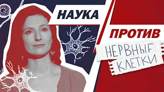 Vera Tolchennikova against myths about nerve cells // Science against