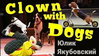 Цирковой номер с собаками "Комическая дрессура" /Clown with dogs / Юлик Якубовский.