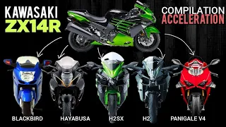 ZX14R 🆚️ Super Blackbird 🆚️ Hayabusa 🆚️ Ninja H2 SX 🆚️ Ninja H2 🆚️ Panihale V4 | Acceleration