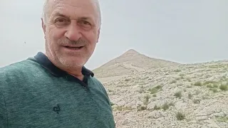 Nemrut dağında Çaşır otu