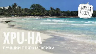 16. Лучший пляж Мексики - Xpu Ha. На нас напали дикие животные!