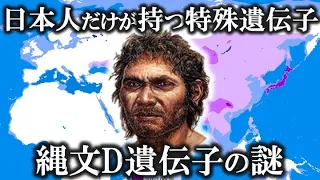 【ゆっくり解説 】日本人しかない特殊遺伝子！D遺伝子の謎！