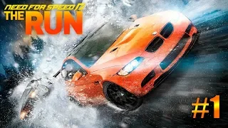 Need For Speed: The Run — ПРОХОЖДЕНИЕ НА РУЛЕ #1 (Без комментариев)