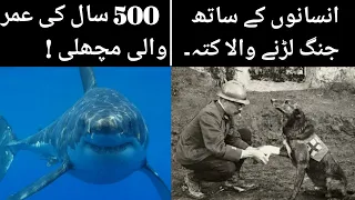 Interesting Facts All Around The World | The Real Site | Urdu / Hindi