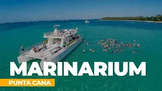 Marinarium Snorkeling Cruise in Punta Cana