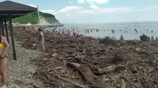 ГЕЛЕНДЖИК СЕГОДНЯ. Лечебный пляж "цветёт и пахнет" 😨07. 07.21