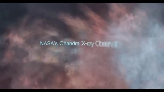 The Chandra Deep Field-South Survey: A Black Hole Treasure Trove