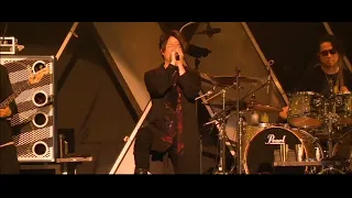 GLAY /  生きがい (Live in Seoul 2019)