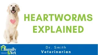 Heartworms in Dogs and Cat Explained by Dr. Smith