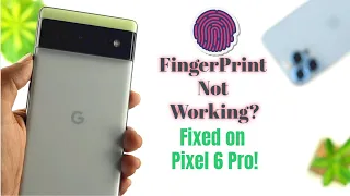 Pixel 6 Pro/ 6: Fingerprint Not Working! [How to Fix]