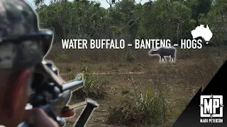 Water Buffalo, Banteng, Hogs: Northern Territory, Australia | Mark Peterson Hunting