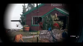 Far Cry 5 - SA-50 Sniper rifle kills 😠 You ain't taking my Peaches