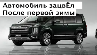 Mitsubishi Delica ПОСЛЕ ЗИМЫ ЗАЦВЕЛА