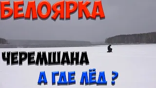 А где лёд? Зимняя рыбалка | ЧЕРЕМШАНА | Белоярское водохранилище