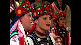 Український народний хор "Калина". Цвіте терен
