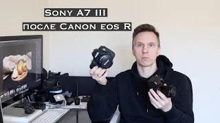 Sony a7 III после Canon eos R