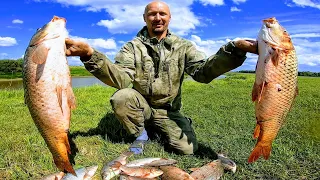 Spider fishing with an underwater camera Underwater fishing shooting Carp fishing Fishing for carp