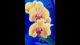 How  to paint yellow Orchids in Acrylic