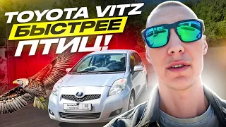 🔥TOYOTA VITZ - быстрее птиц🔥 1.5 литра ярости🚀 Автозаказ from Japan🚘