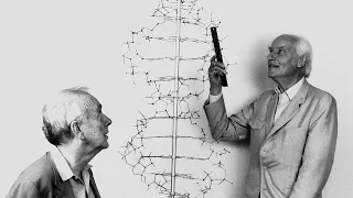 Unraveling the Blueprint - The Discovery of DNA