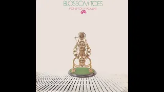 BLOSSOM TOES   -  IF ONLY FOR A MOMENT -   FULL ALBUM  -  U. K.  UNDERGROUND  -  1969