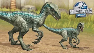 NEW BETA (BLUE'S BABY) UNLOCKED!?! - Jurassic World - The Game | Ep. 414