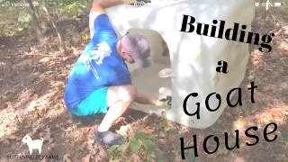 How to Build a Goat Structure| Goat House| Nigerian Dwarf Goats| Simple Goat House
