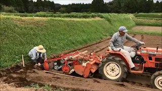 Япония Чеснок Ферма и урожай - Удивительная Япония Чеснок сельскохозяйственной техники Ферма
