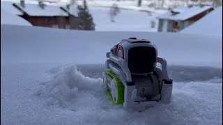 Cozmo winter vacation