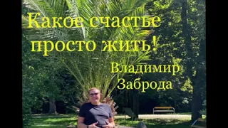 Какое счастье просто жить. Владимир Заброда