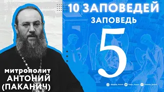 10 заповедей Божиих. 5 заповедь | Митрополит Антоний (Паканич) | ТЕОВЛОГ