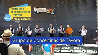 Grupo de Concertinas de Távora (2024)