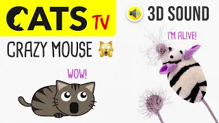 CATS TV - CRAZY Mouse Toy 🙀 60FPS - 3 HOURS (Game for cats to watch)