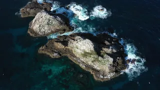 Julian Rocks, Nguthungulli nature reserve Byron Bay