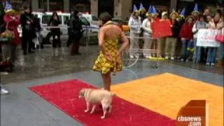 Ringling Bros. Dog Act