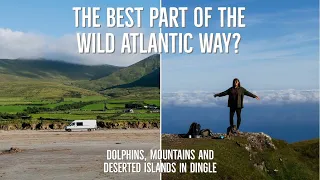DINGLE by Campervan | Beach park-up, Dolphins and Mountains | VanLife Ireland | Wild Atlantic Way