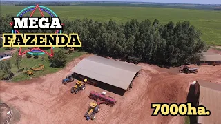 FAZENDA DE 7MIL HECTARES É TERRA DE MAIS DA CONTA...!!!