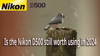 Is the Nikon D500 still a good choice in 2024 for Wildlife Photography?