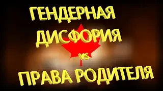 Гендерная дисфория vs права родителя