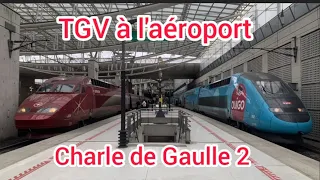 spot #14 |  TGV Ouigo, Eurostar, inouï ... Des trains tgv à l'aéroport charle de Gaulle 2