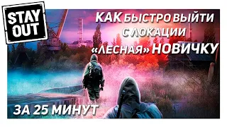 Stay Out|Stalker Online Как быстро выйти с локации Лесная в 2022 году