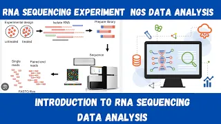 Introduction to RNA Sequencing Data Analysis