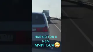 Свинья кайфует и приносит новый год