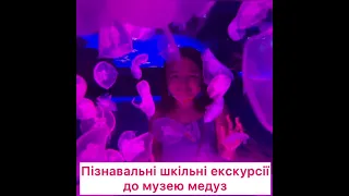 Шкільна екскурсія, музей живих медуз", Київ. Экскурсия, Jellyfish, Киев