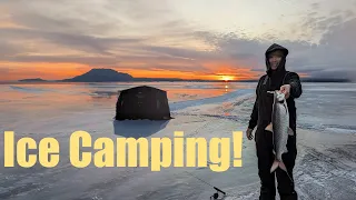 We went ice camping on Lake Simcoe & caught 3 different species(PB hit)