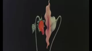 Pink Floyd - Gerald Scarfe Animation - What Shall We Do Now?